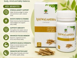 ASHWAGANDHA ( Withania somnifera )