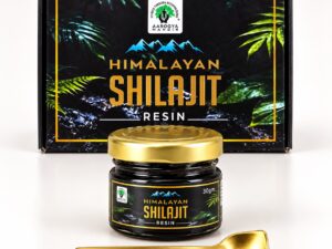 Shilajit Resin ( Himalayan )